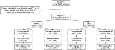 Sex Differences in the Outcomes of Cryoablation for Atrial Fibrillation